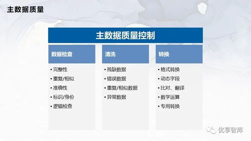 企業主數據管理總體架構與系統邏輯架構項目解決方案